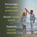 vinco-inc-nitric-oxide-elite-daily-blood-6.jpg
