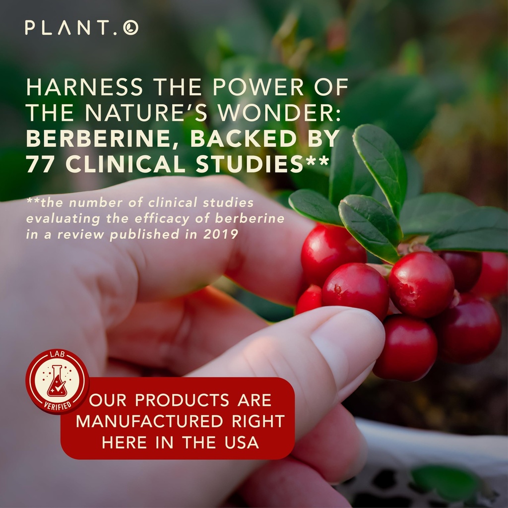 plant-o-nutrition-berberine-supplement-1-5.jpg