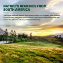 herbal-formula-kava-extract-for-calming--6.jpg