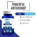 we-like-vitamins-dhea-100mg-200-capsules-2.jpg