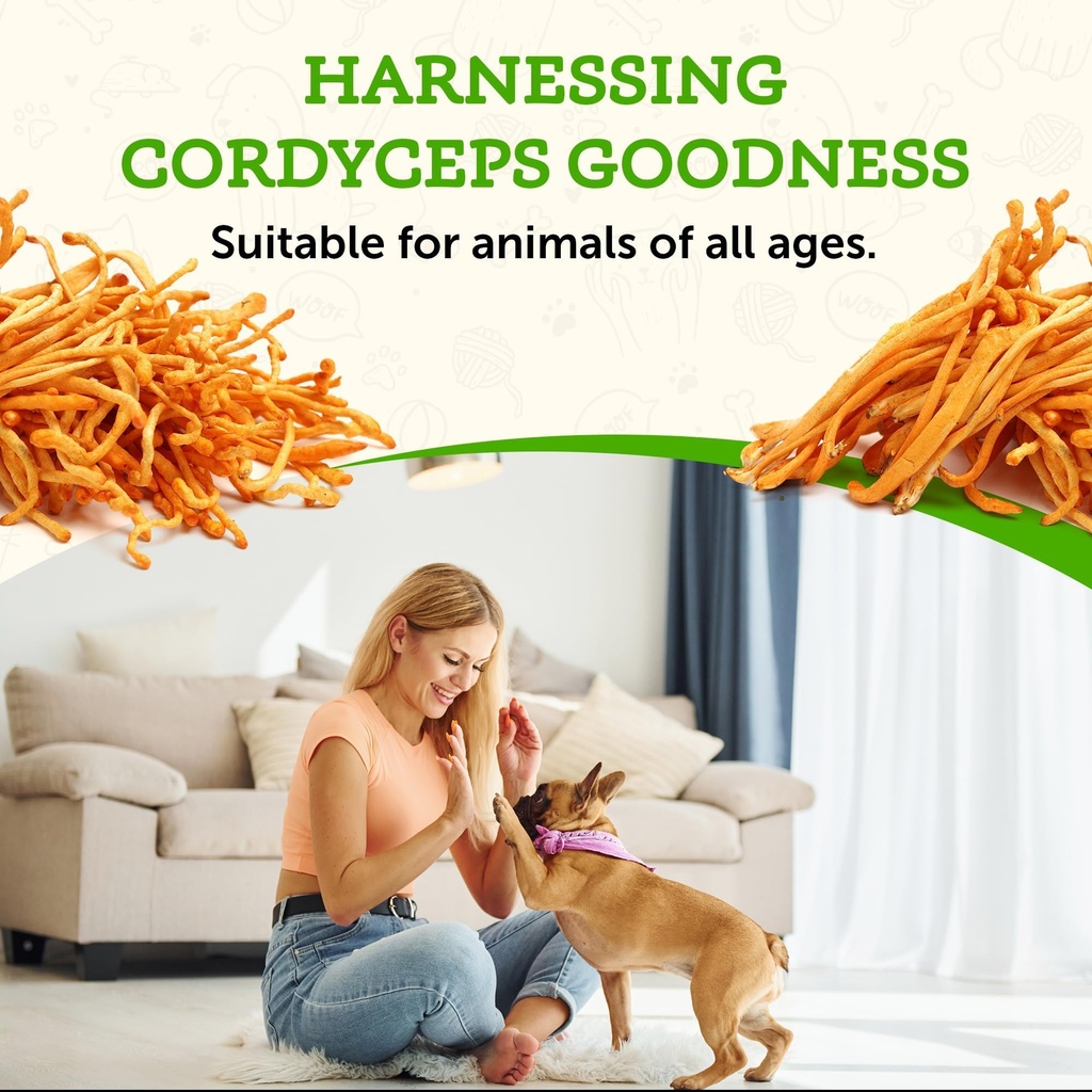 animal-essentials-energy-cordyceps-mushr-6.jpg