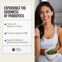 gut-health-supplements-your-flora-probio-5.jpg