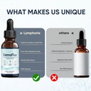 lymphatic-drainage-drops-lymphatic-syste-6.jpg