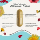 uti-cleanse-protect-urinary-tract-suppor-4.jpg