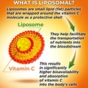 plant-based-bone-immune-support-suppleme-3.jpg