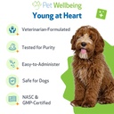 pet-wellbeing-young-at-heart-for-dogs-se-5.jpg