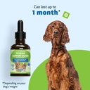 pet-wellbeing-thyroid-support-silver-for-2.jpg