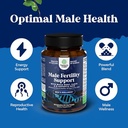 bundle-of-pre-conception-male-fertility--4.jpg