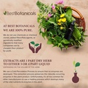 best-botanicals-wormwood-herb-powder-16--3.jpg