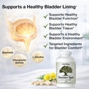 bladder-health-pelvic-discomfort-natural-3.jpg