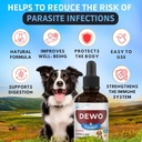cats-and-dogs-natural-broad-spectrum-tre-3.jpg