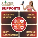 cadane-premium-berberine-extract-berberi-5.jpg