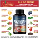 cadane-premium-berberine-extract-berberi-3.jpg