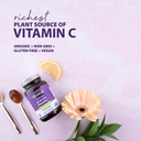 flora---acerola-powder-daily-immune-boos-5.jpg