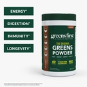 greens-first-original-greens-powder-choc-2.jpg