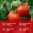 lycopene-supplement-for-men-100mg-lycope-2.jpg