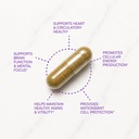 purity-products-coq10-daily-super-boost--3.jpg