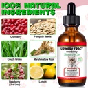 feline-urinary-tract-health-cat-uti-reme-3.jpg