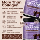 zebora-chocolate-multi-collagen-peptides-6.jpg
