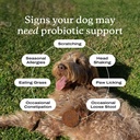petlab-co-probiotic-chews-for-dogs-30-so-4.jpg