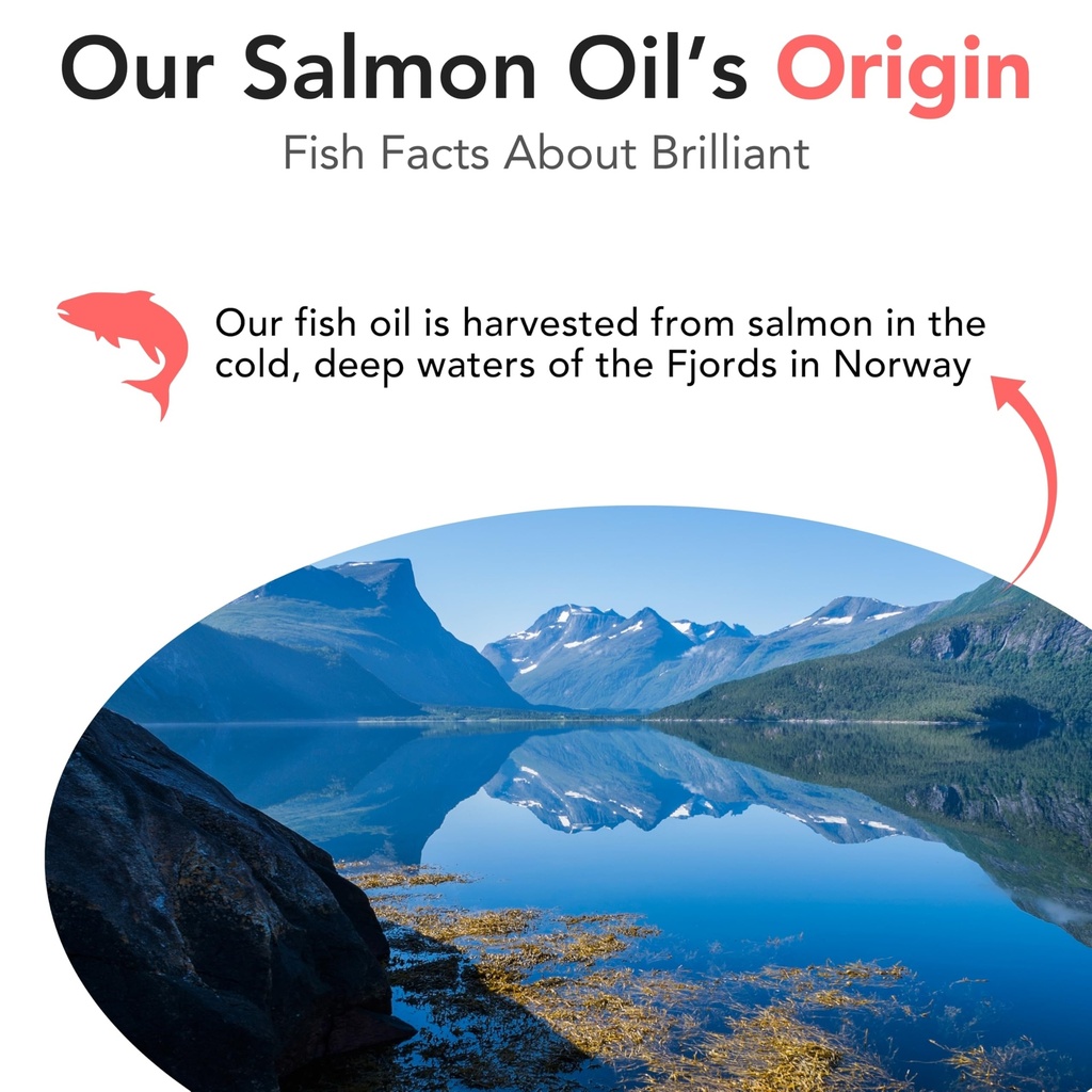 brilliant-norwegian-salmon-oil-for-dogs--6.jpg