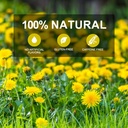 vintage-nettle-seeds-herbal-treasure-of--4.jpg