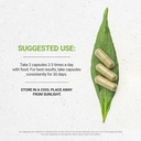 secrets-of-the-tribe-stinging-nettle-roo-3.jpg