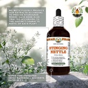 stinging-nettle-urtica-dioica-dry-leaf-g-5.jpg