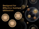 vitamin-b12-and-d3-sublingual-tablets-25-5.jpg