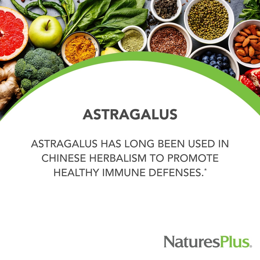 naturesplus-herbal-actives-astragalus-60-3.jpg