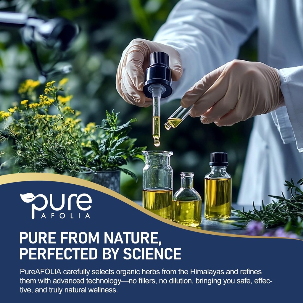 bilberry-extract-supplement-for-eye-heal-3.jpg