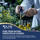 bilberry-extract-supplement-for-eye-heal-3.jpg