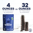 jungle-powders-wild-bilberry-liquid-extr-6.jpg