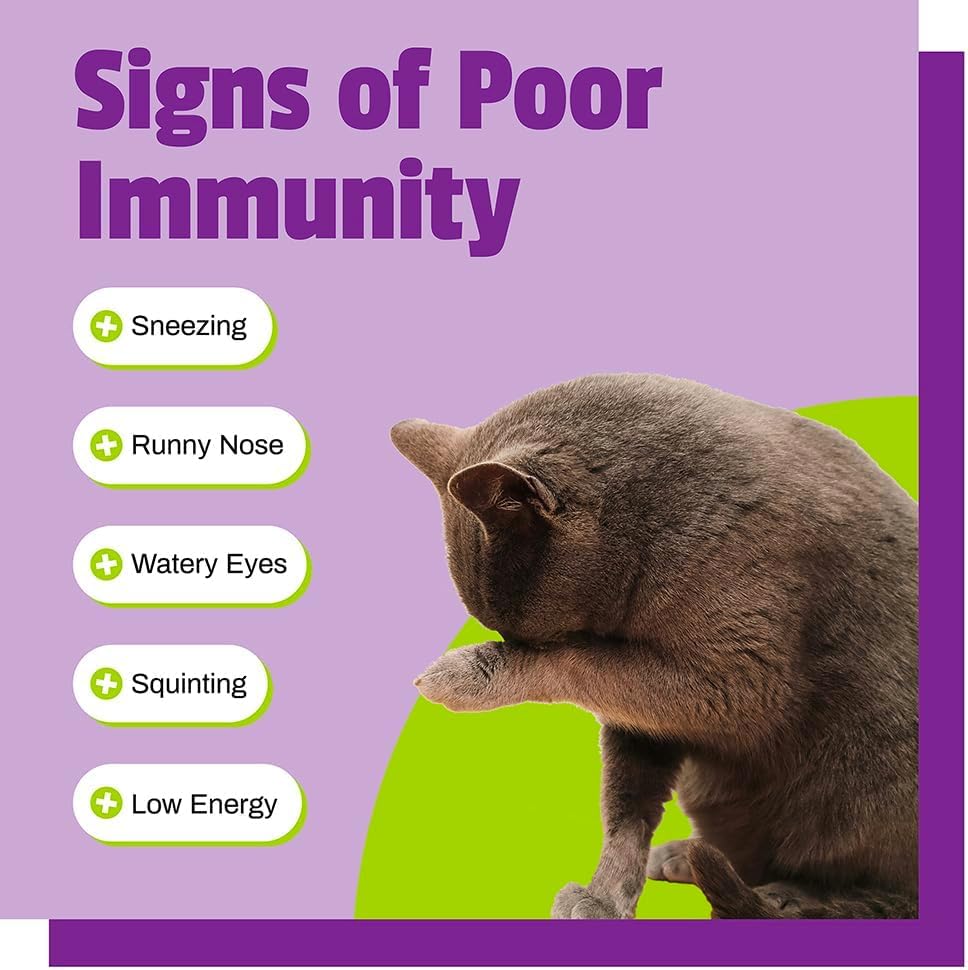 pet-naturals-lysine-for-cats-chicken-fla-6.jpg