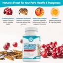 wanderfound-pets-ultimate-cranberry-blad-6.jpg