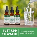 nutramedix-maca-liquid-tincture-mood-sup-6.jpg