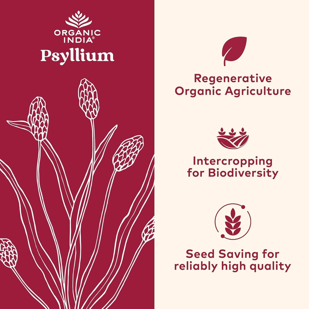 organic-india-whole-psyllium-husk-powder-71vpshzBZoL.jpg