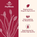 organic-india-whole-psyllium-husk-powder-71vpshzBZoL.jpg
