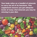 lifelink-s-colloidal-trace-minerals-100--819nrlJ3kfL.jpg