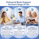 brain-focus-supplement-with-lion-s-mane--71gdHa94m-L.jpg