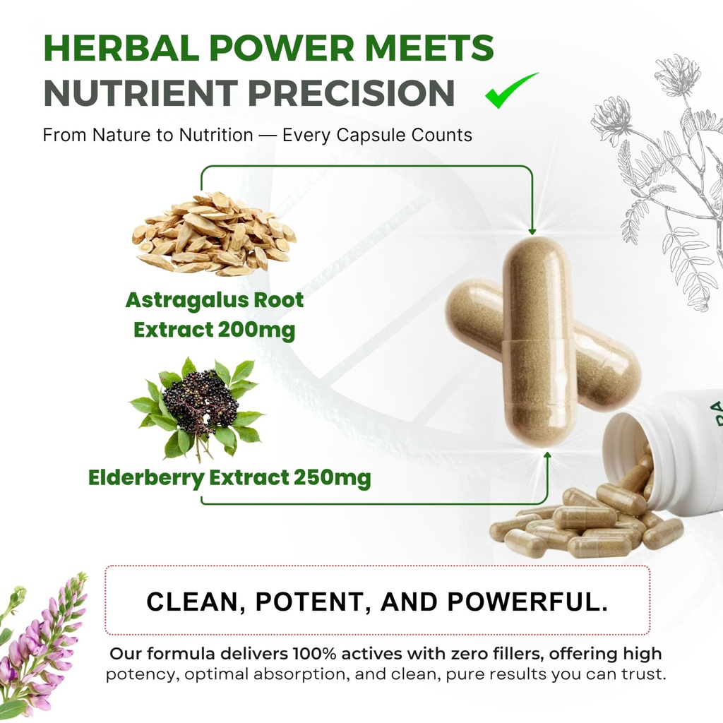 astragalus-complex-1000-mg-60-vegan-caps-81wOxDKqo6L.jpg
