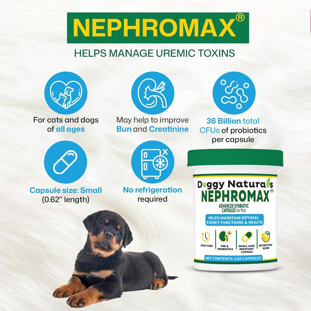 nephromax-synbiotic-capsules-for-kidney--81HHmA5MVrL.jpg