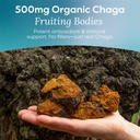 detox-chaga-mushroom-gummies-antioxidant-91AXYNKfdtL.jpg