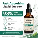 nabhi-lymphatic-drainage-drops-2-fl-oz-6-71Ty5D2UZCL.jpg