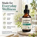 nabhi-lymphatic-drainage-drops-2-fl-oz-6-71097cIeonL.jpg