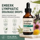 nabhi-lymphatic-drainage-drops-2-fl-oz-6-71rcjp7nfCL.jpg