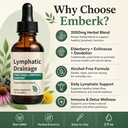 nabhi-lymphatic-drainage-drops-2-fl-oz-6-71EEGK4oV9L.jpg