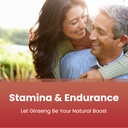 nutrachamps-korean-red-panax-ginseng-cap-71Cw5XAAWrL.jpg