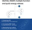 celfull-nadh-supplement-40mg-enchance-na-2.jpg