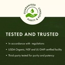 swanson-super-strength-olive-leaf-extrac-614BoajqnnL.jpg